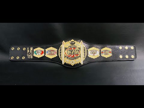 CUSTOM MINI CHAMPIONSHIP BELTS