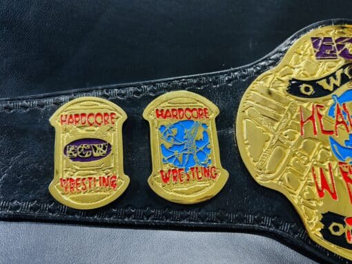 Close-up of the ECW Championship Belt’s side plates, capturing intricate details and customization options.