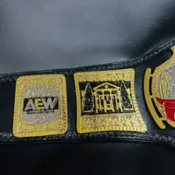 Detailed view of the AEW TNT Championship Belt side plates featuring AEW logos and bold engravings.