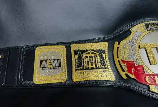 Detailed view of the AEW TNT Championship Belt side plates featuring AEW logos and bold engravings.