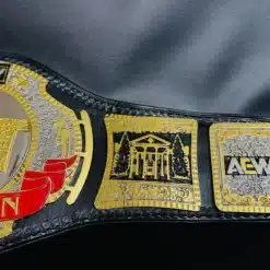 Detailed view of the AEW TNT Championship Belt side plates featuring AEW logos and bold engravings.