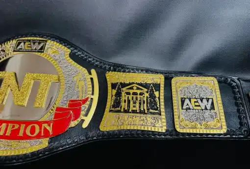 Detailed view of the AEW TNT Championship Belt side plates featuring AEW logos and bold engravings.