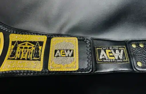 Detailed view of the AEW TNT Championship Belt side plates featuring AEW logos and bold engravings.