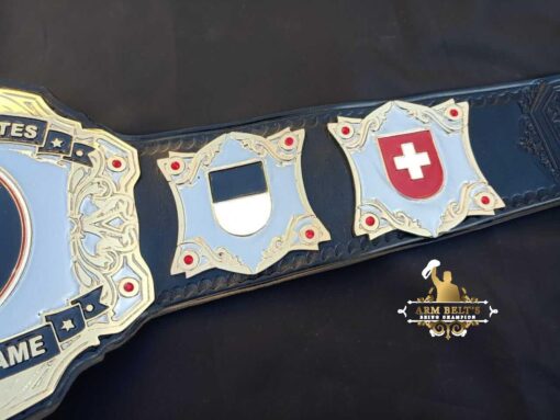 VIDEO GAME CHAMPIONSHIP BELT