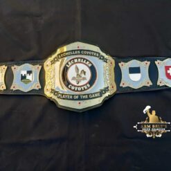 VIDEO GAME CHAMPIONSHIP BELT