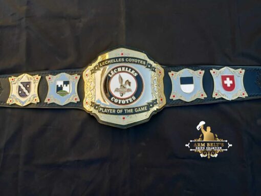 VIDEO GAME CHAMPIONSHIP BELT