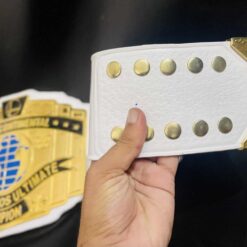 VIDEO GAME CHAMPIONSHIP BELT