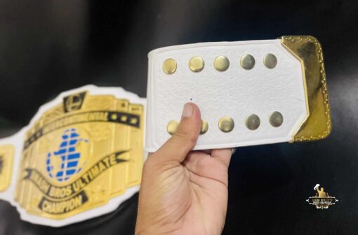 VIDEO GAME CHAMPIONSHIP BELT