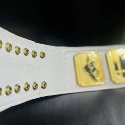 VIDEO GAME CHAMPIONSHIP BELT