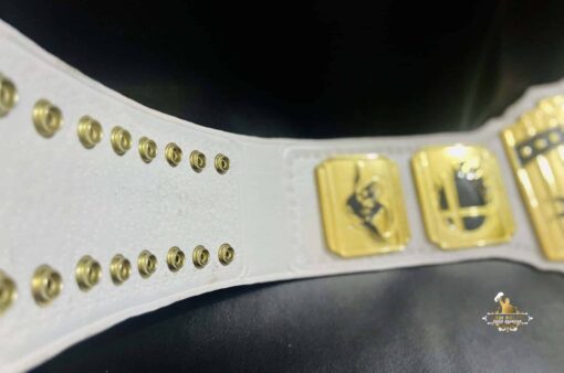 VIDEO GAME CHAMPIONSHIP BELT