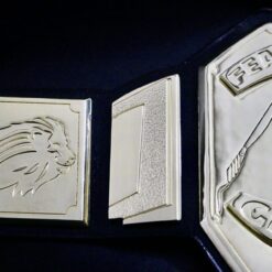 BLANK CHAMPIONSHIP BELT