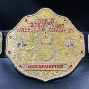 world light heavyweight champion