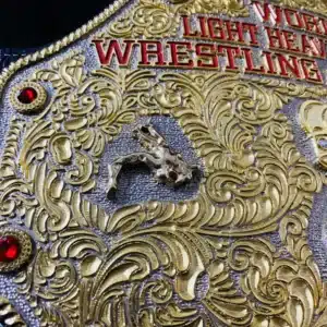 Big gold championship belt 3