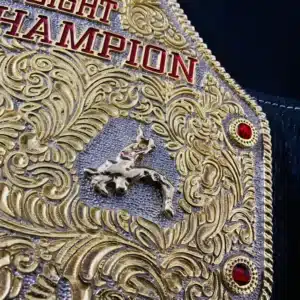 Big gold championship belt 4
