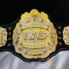 IWGP Belt with Engraved Name Plate