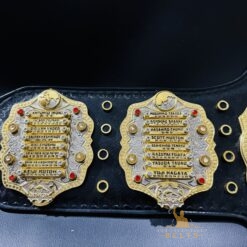 IWGP Custom Side paltes