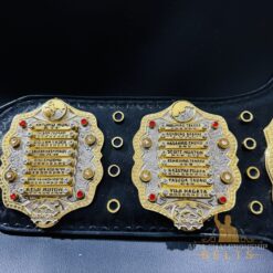 IWGP Custom Side paltes