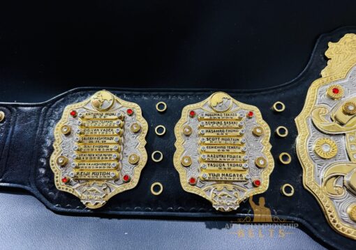 IWGP Custom Side paltes