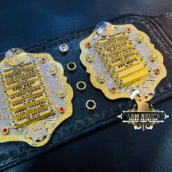 NEW IWGP HEAVYWEIGHT CHAMPIONSHIP BELT