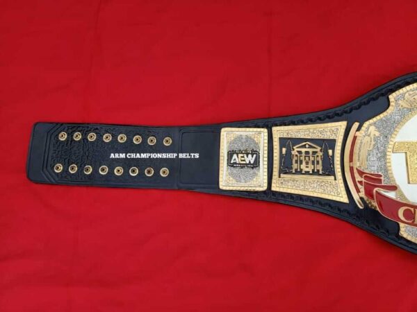 TNT CHAMPIONSHIP BELT : ARM BELTS