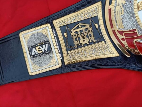 TNT CHAMPIONSHIP BELT : ARM BELTS