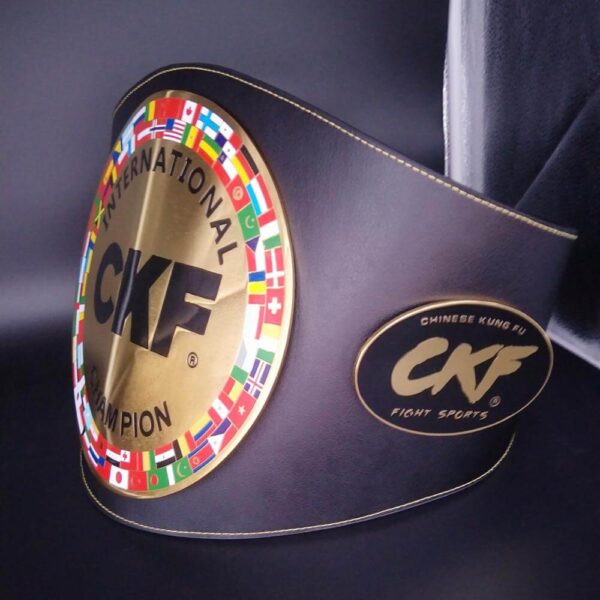 MUAY THAI CHAMPIONSHIP BELTS ARM Championship Belts