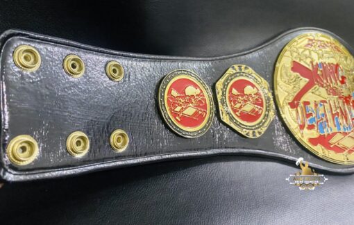 CUSTOM-MINI-CHAMPIONSHIP-BELTS