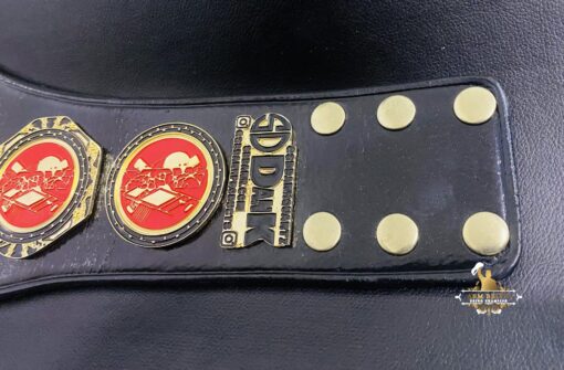 CUSTOM-MINI-CHAMPIONSHIP-BELTS