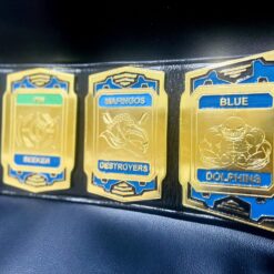 Championship Belt