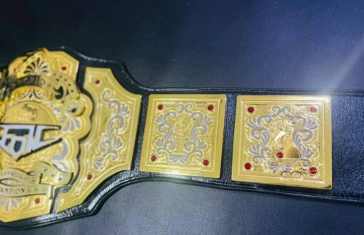 EOW CUSTOM DESIGN WRESTLING BELT