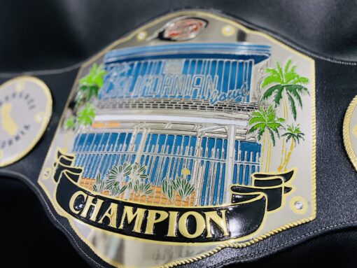 fantasy football title belt