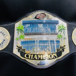 Custom Fantasy Football Title Belt with high-quality engraving plates, personalized with league logos and champion names.