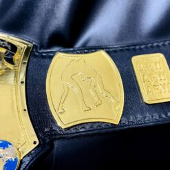 ATLANTIC PRO WRESTLING CHAMPIONSHIP BELT