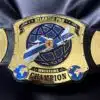 Atlantic Pro Wrestling Belt - Custom Championship Belt