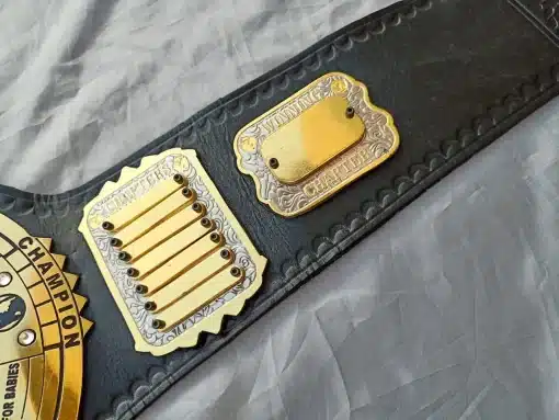 Custom award championship belt side plates showing Chapters and Winning Chapter engraved plates