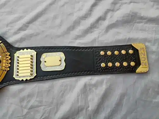 Personalized championship belt featuring Top Brother nameplate and custom engraving detail