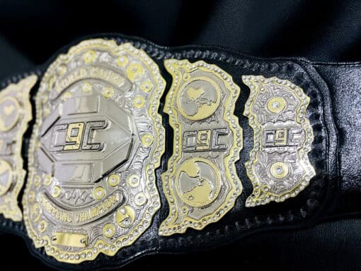 BJJ Championship Belts