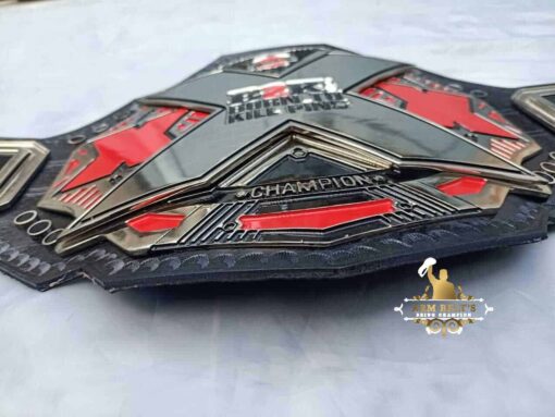 CUSTOM NXT CHAMPIONSHIP BELT