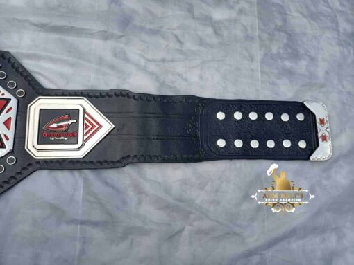 CUSTOM NXT CHAMPIONSHIP BELT