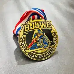 Custom martial arts gold medal with grappling artwork and engraved text