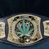 SPINNER CHAMPIONSHIP BELT