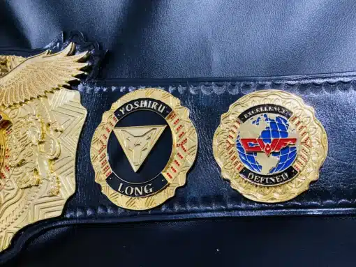 Create your own personalized pro wrestling title belt with custom logos, names, and design details for a unique collectible.