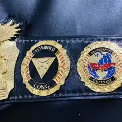 Create your own personalized pro wrestling title belt with custom logos, names, and design details for a unique collectible.