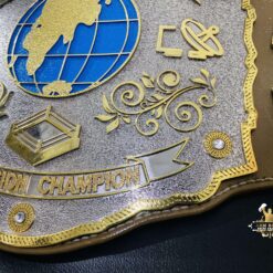 CUSTOM TELEVISION CHAMPIONSHIP BELT 2-min