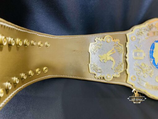 CUSTOM TELEVISION CHAMPIONSHIP BELT 5-min