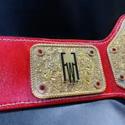 FFW Pro Wrestling Federation Replica Belt