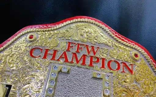 WWE-Inspired FFW Custom Wrestling Belt