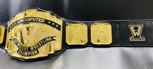 Custom WWE-style FFW Pro Wrestling belt designed for wrestling events with high-quality engravings