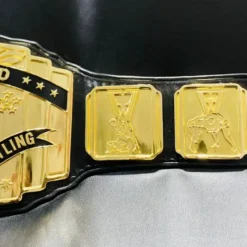 Custom WWE-style FFW Pro Wrestling belt designed for wrestling events with high-quality engravings