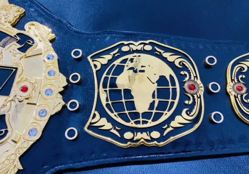 RevPro Belt